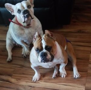 Meet your Posher, Crystal